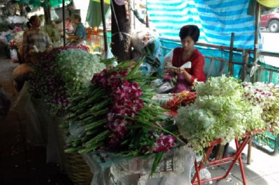 COMERCIO - FLOR (5)